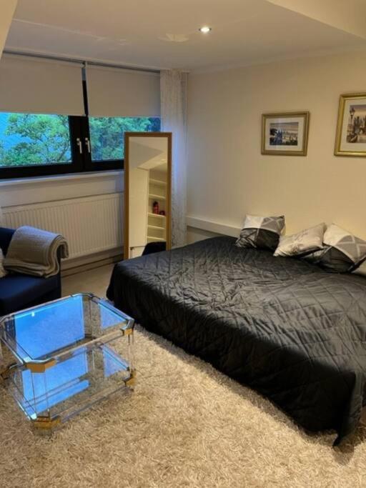 Zentrale Im Gruenen! Apartment *